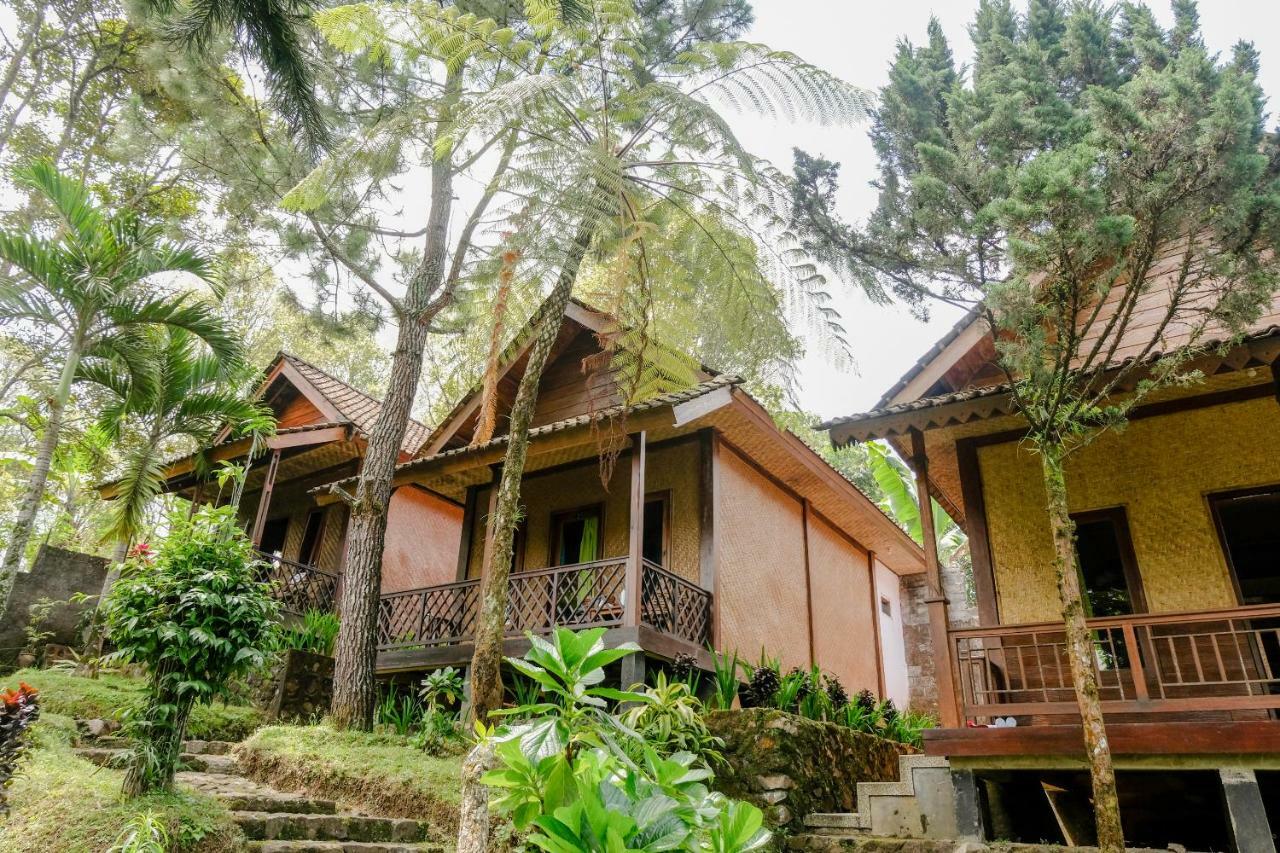 Oyo 1415 Ijen Residence Licin Exterior foto