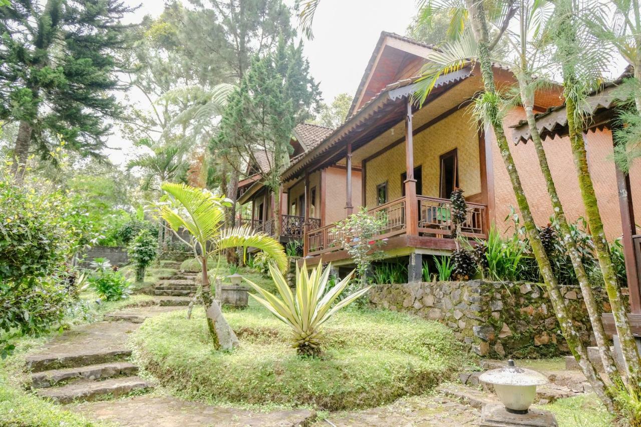 Oyo 1415 Ijen Residence Licin Exterior foto