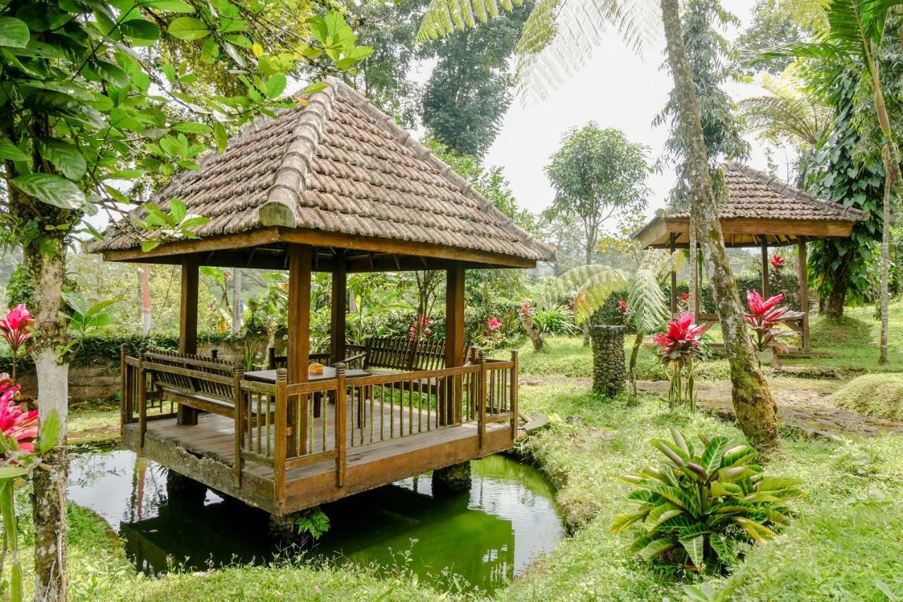 Oyo 1415 Ijen Residence Licin Exterior foto